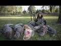 Florida Gators, Bunch of Turkeys- Winchester Deadly Passion Season 3