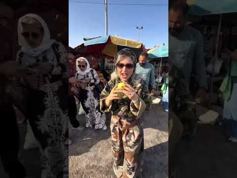 چاقاله خربزه زابل میوه ای عجیب از سیستان که فقط مردم محلی می شناسن