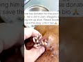 This all totals to $750. Please donate through the link in bio to help this poor dog. #viral