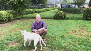 Second Chance Pets: Mosey