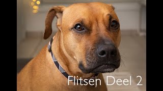 Download Lagu Flits Deel 2 MP3