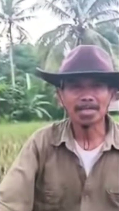 STORY WA!!! SISINDIRAN SUNDA LUCU