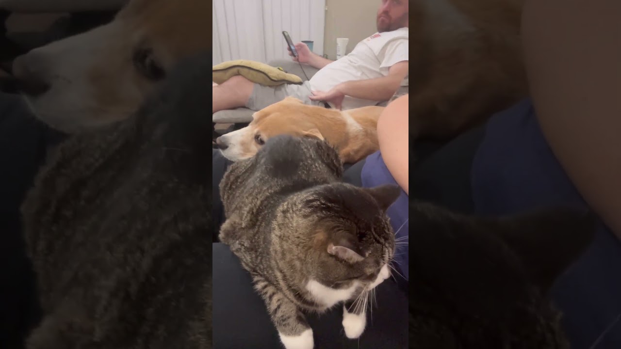 Not sure how this happened!  