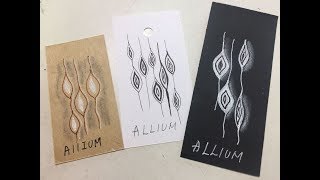 Drawing Allium Zentangle®