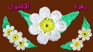 كروشية : طريقة عمل وردة الاقحوان Crochet Flower