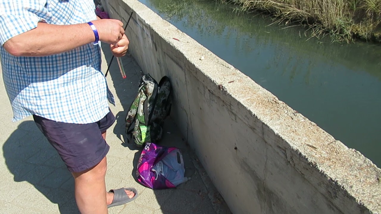 Бесплатная рыбалка в Сиде (Турция, 2021)