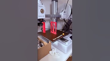 Tree supports are very cutesy, very mindful 🥰