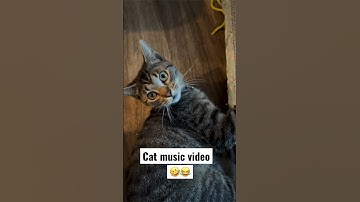 When the nip be nipping #lol #catnip #cats #pets