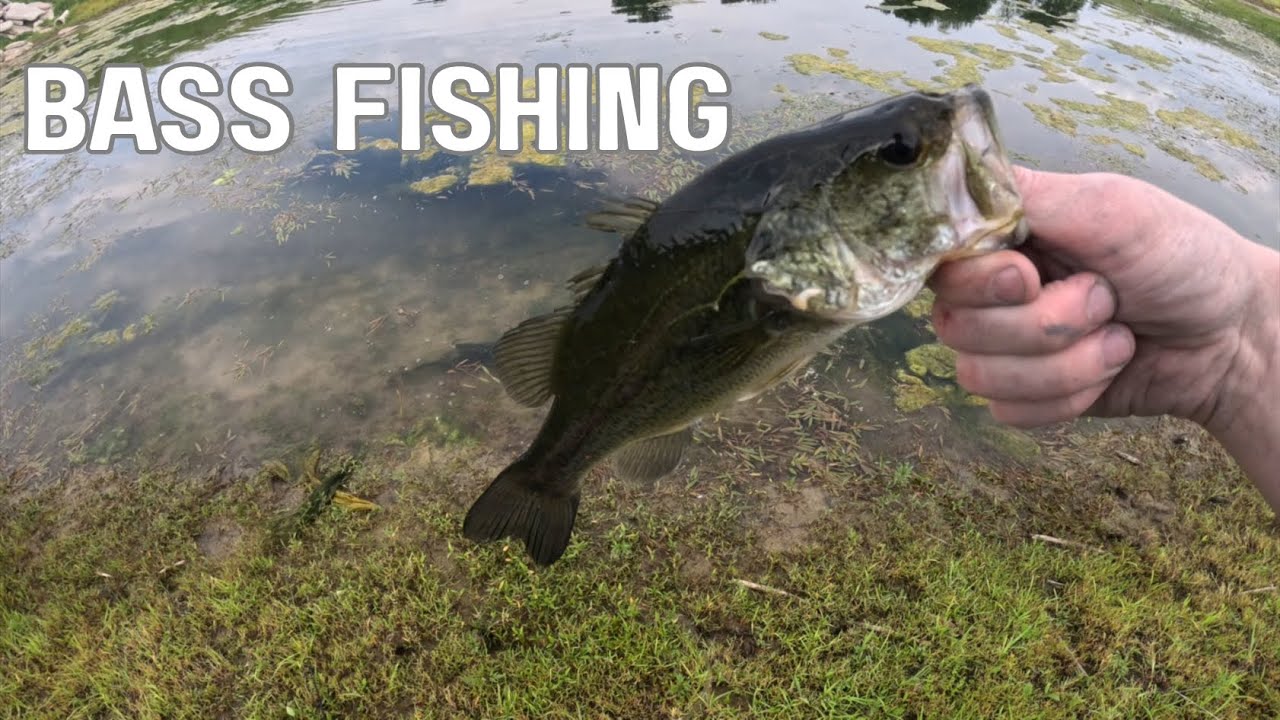Bass Fishing Private Ponds
