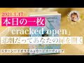 【本日の一枚】「cracked open」スターシードオラクル✨ヒントとなるキーワードを受け取ってください✨✨✨✨