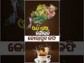 Koraput Coffee: From Tribal Roots to Global Fame II Best Coffee in the World