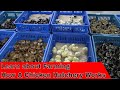 Tour How a Hatchery Works