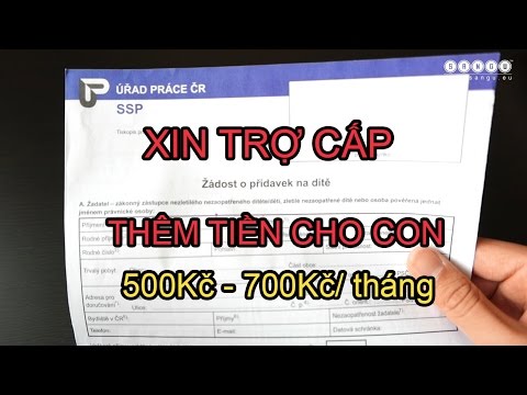 Video: Cách Viết đơn Xin Thanh Toán Trợ Cấp Khi Sinh