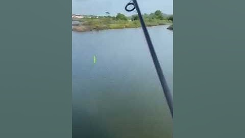 Địa điểm câu biển đùng mới tại bà rịa vũng tàu 2022