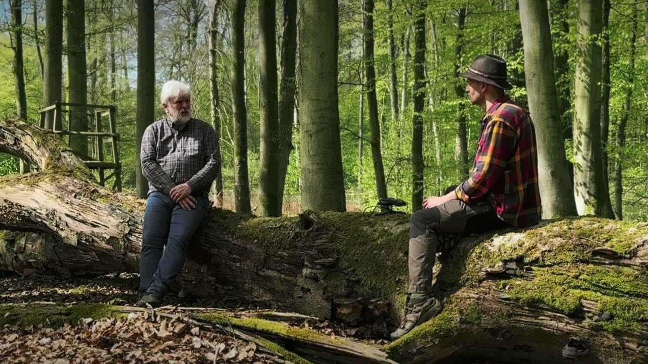 Knut Sturm - ett samtal om skog & naturnära skogsbruk