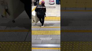 Luggage Forwarding in Japan Is NOT What TikTok Shows