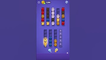 Kitty Sort: Twisted Tails Level 17 | Funny Games