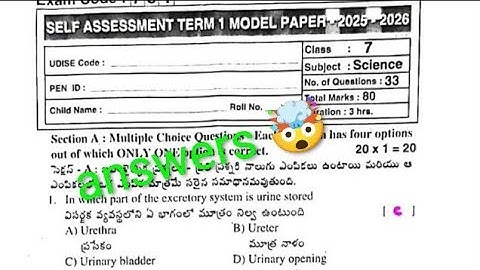 💯7th class sa term 1 science question paper answers key self assessment term 1 real paper 