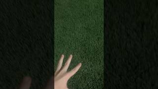 how to touch grass tutorial
