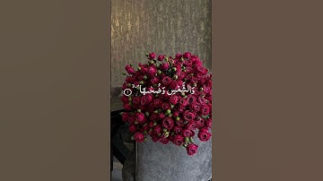 سورة الشمس - Surah Ash Shams .للقارئ شريف مصطفى