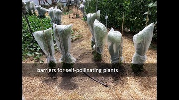 Webinar: Isolation Techniques