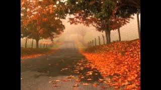 Bora Spuzic Kvaka - Tajna (Stojim na uglu prosjaku slican)