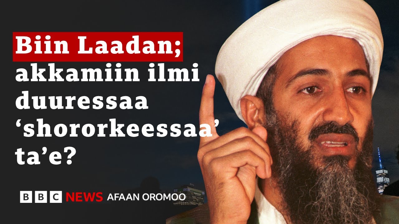 Кто был «политическим ненавистником» Усамы бен Ладена? | BBC News - 1 сентября 2014 г.