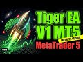 Tiger EA V1 MT5 MetaTrader 5 Review | Backtest 2026