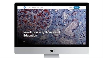 Slice explainer video 2025