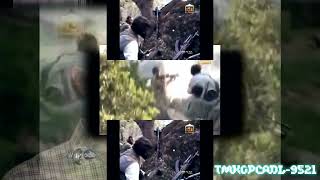 REQUEST  YTPMV The Outpost Recounts U S  Military Heroism in Afghan War Scan