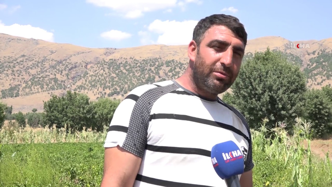 Ekinlerini dolu vuran köylüler yardım bekliyor