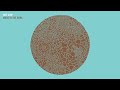 Hot Chip - So Deep (Official Audio)