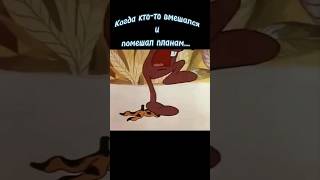 Когда кто-то вмешался и помешал планам🤣🤣 #юмор #планы #ржунимагу #смех #приколы