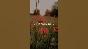 تلاوة هادئة تريح الأعصاب😴🎧 القارئ: أسامه مخيمر سورة: الإنسان 💙❤