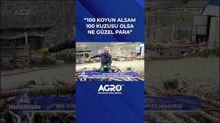 100 Koyun Alsam 100 Kuzusu Olsa Ne Güzel Para #shorts