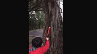 二二八公園餵松鼠～20131228-3