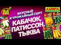 Вкусный и Урожайный Сорт 2019: КАБАЧОК, ТЫКВА, ПАТИССОН.