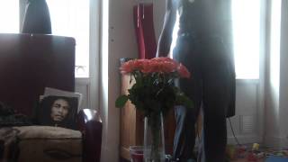 HDV_0246.MP4