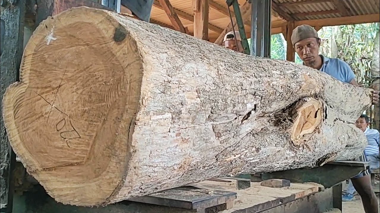 sawing old and dry teak logs into good frame blocks - YouTube