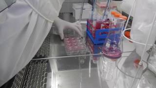 cell detachment final