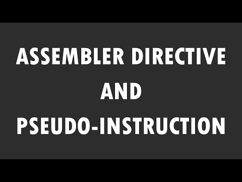 Assembler Directives and Pseudo-Instruction : Assembly x64