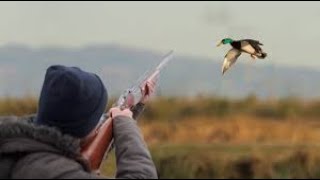 Охота На Водоплавающую Дичь|Охота на утку|Охота на гуся|#1