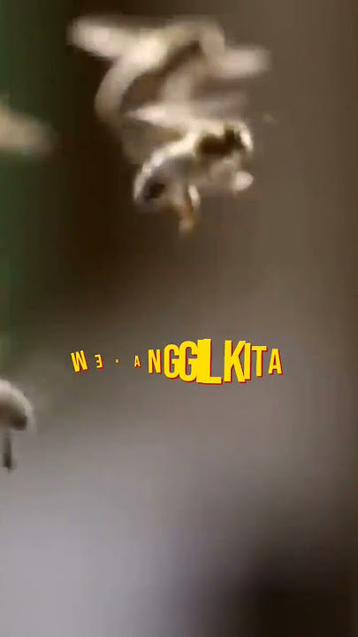 Ketika Allah memanggil Kita