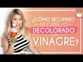 RECUPERA EL CABELLO FUNDIDO CON VINAGRE Paso a Paso | Andrea Mimada