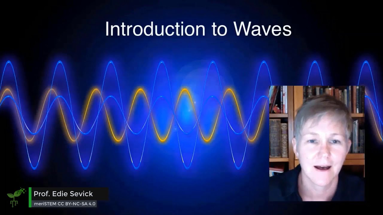 ⁣Waves in daily experience | Waves and Optics | meriSTEM