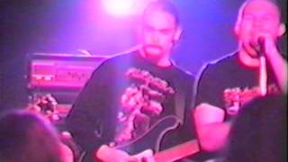 December Wolves New London Ct 5797