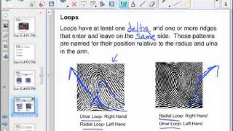 Unit 1: Lecture 2: Fingerprint Patterns
