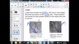 Unit 1: Lecture 2: Fingerprint Patterns