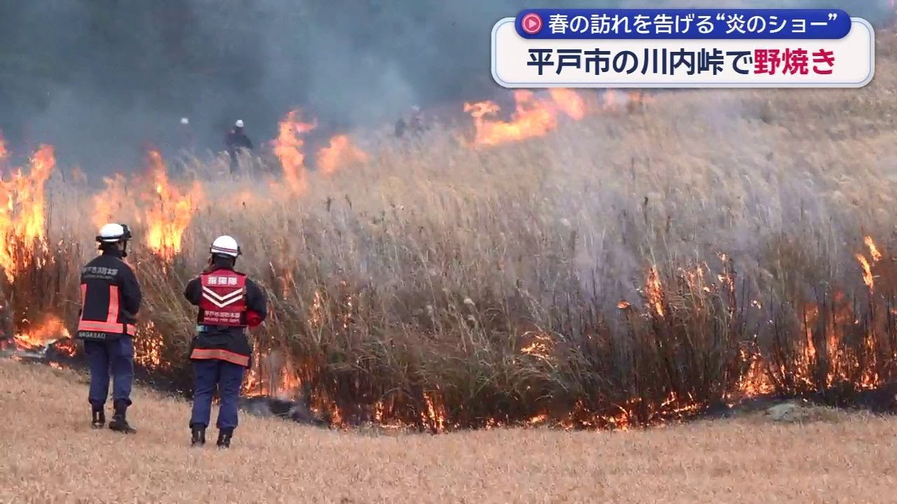 平戸・川内峠で春の訪れ告げる「野焼き」 消防関係者など約150人