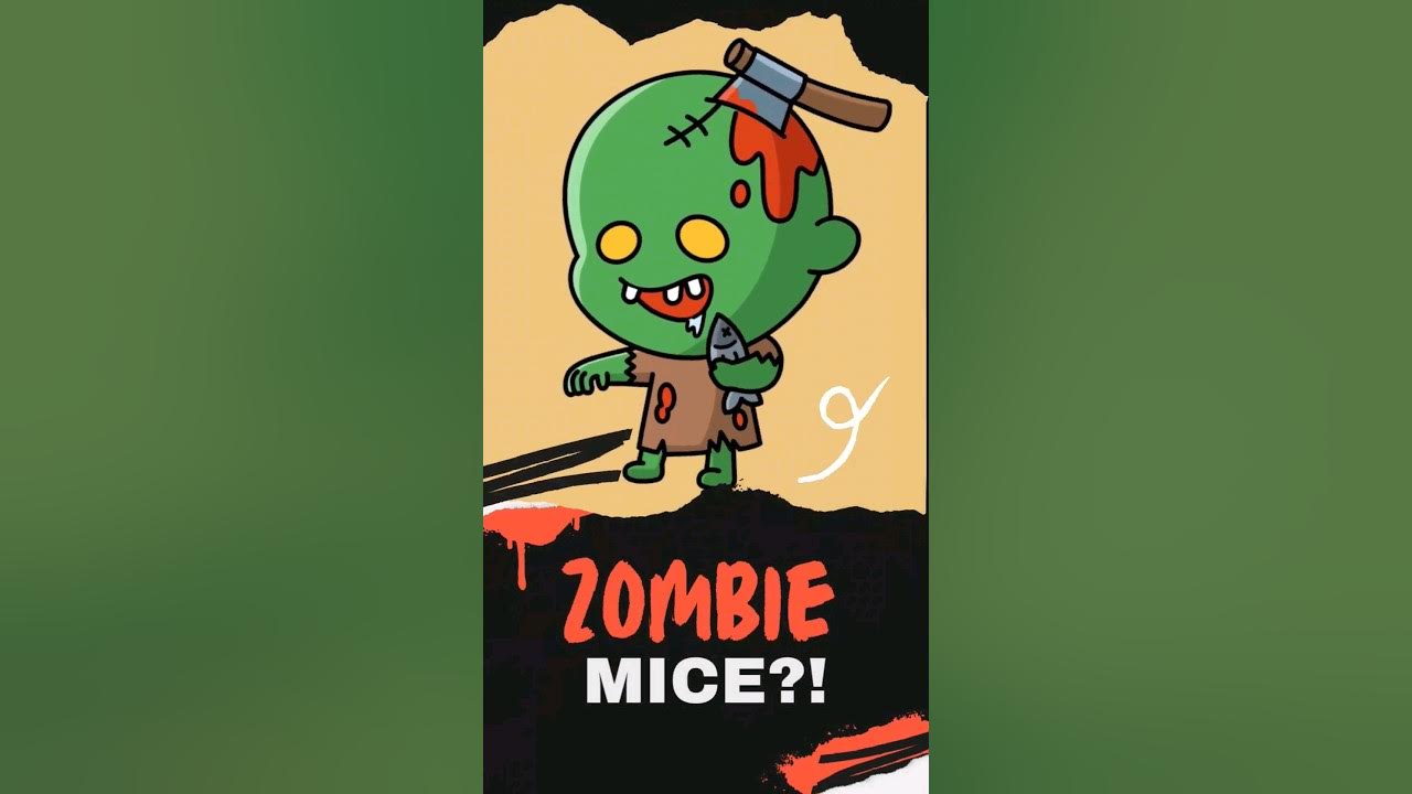 PARASITE THAT CREATES ZOMBIE MICE?! YouTube